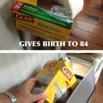 Funny Memes -nature is cruel