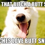 Funny Memes: bitches love