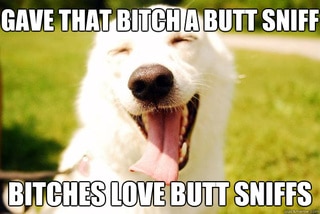 Funny Memes: bitches love
