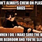 Animal Memes - i dont always chew