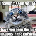 Animal Memes - i havent seen