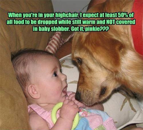 Baby Memes - got it pinkie
