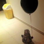 Funny Animal Memes - you said everyone would be here