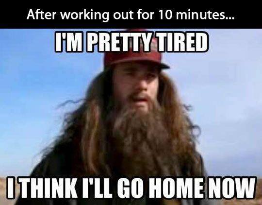 Funny Animals Memes - im pretty tired