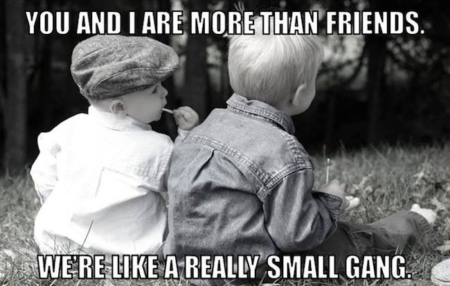 Funny Baby Memes - really small gang