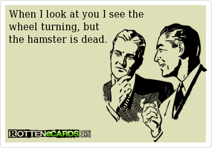 Funny Memes - Ecards - the hamster is dead
