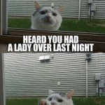Funny Memes - hey bro