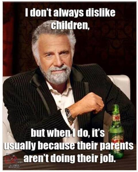 Funny Memes - i dont always dislike children