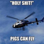 Funny Memes - pigs can fly
