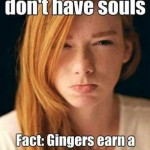 Funny Memes - truth about gingers