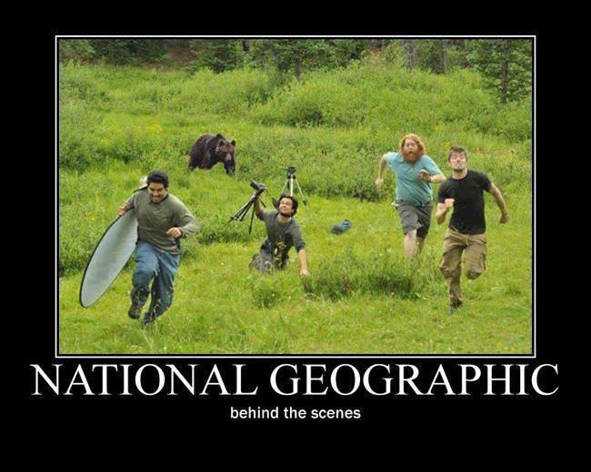 Funny Memes: behind the scenes