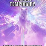 Funny Memes: cats are forever
