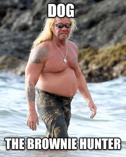 the brownie hunter