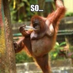 Animal Memes - come here often