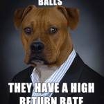 Animal Memes - high return rate