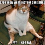 Animal Memes - i got fat