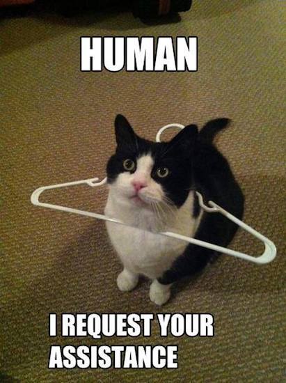 Animal Memes - i need assistance