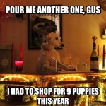 Animal Memes: christmas shopping