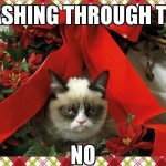 Animals Memes - dashing through the no