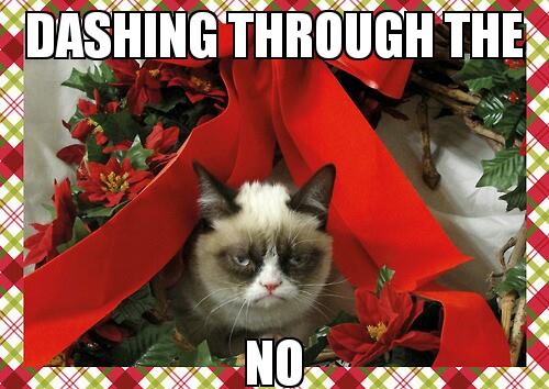 Animals Memes - dashing through the no
