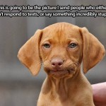 Dog Memes - disapproving doggie