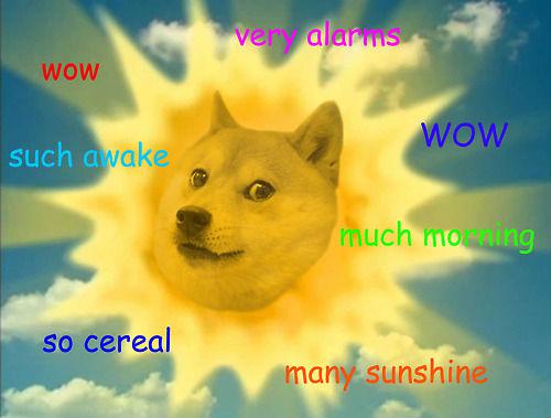 Dog Memes - doge meme 1