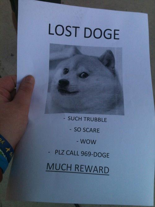 Dog Memes - doge meme 4