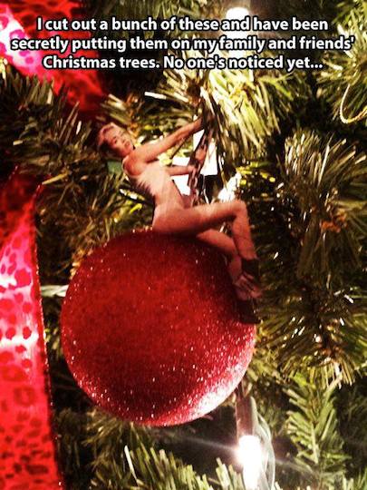 Funniest Memes: a miley christmas
