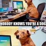 Funny Animal Memes - nobody knows