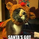 Funny Animal Memes - santa has enough
