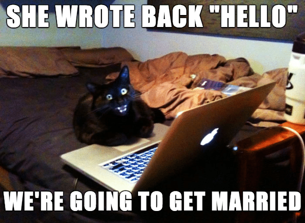 Funny Animal Memes - she wrote back