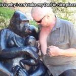 Funny Animal Memes - this is why