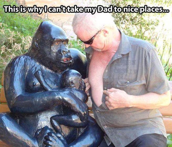 Funny Animal Memes - this is why