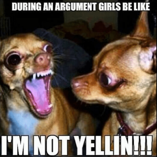 Funny Animals Memes - im not yelling