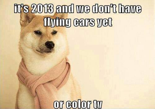 Funny Animals Memes - its 2013
