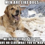 Funny Animals Memes - men are like dogs