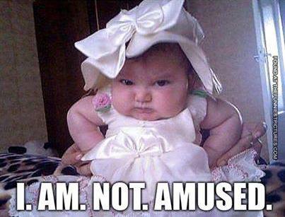Funny Baby Memes - not amused
