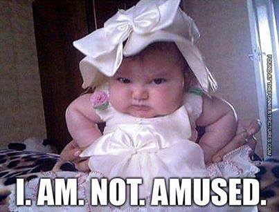 Funny Baby Memes - not amused