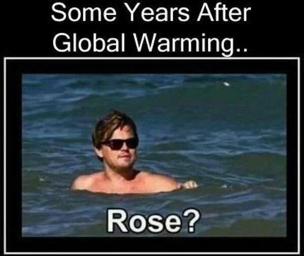 Funny Memes - leo and rose