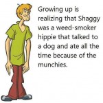 Funny Memes - shaggy was a hippie