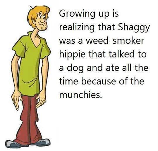 Funny Memes - shaggy was a hippie