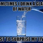 Funny Memes - surprise my liver