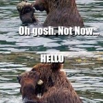 Funny Memes - yes this is bear