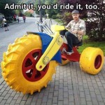 Funny Memes - youd ride it too