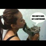 Animal Memes - get a boyfriend