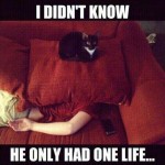 Animal Memes - i didnt know