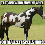 Animal Memes: amazing horse