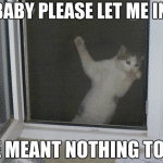 Funny Animal Memes - let me in