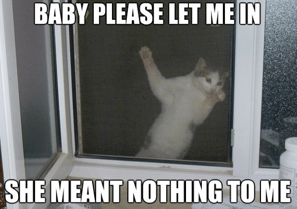 Funny Animal Memes - let me in