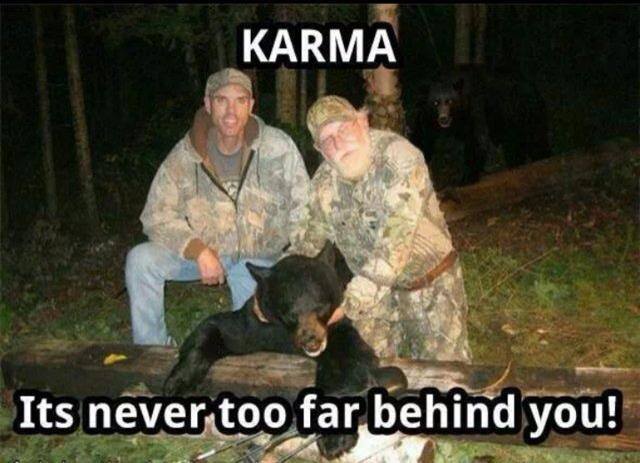 Funny Animal Memes - never far behind